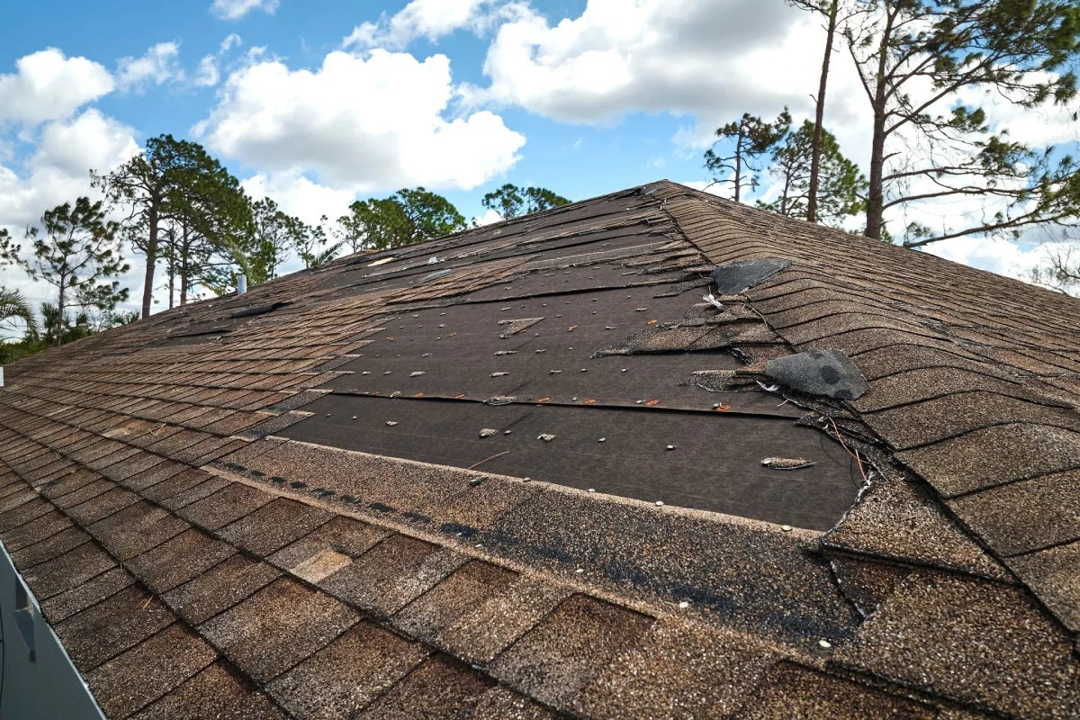 30 Year Shingles in Denver, NC: Long-Lasting Protection with RenoSimplicity Roofing & Restoration