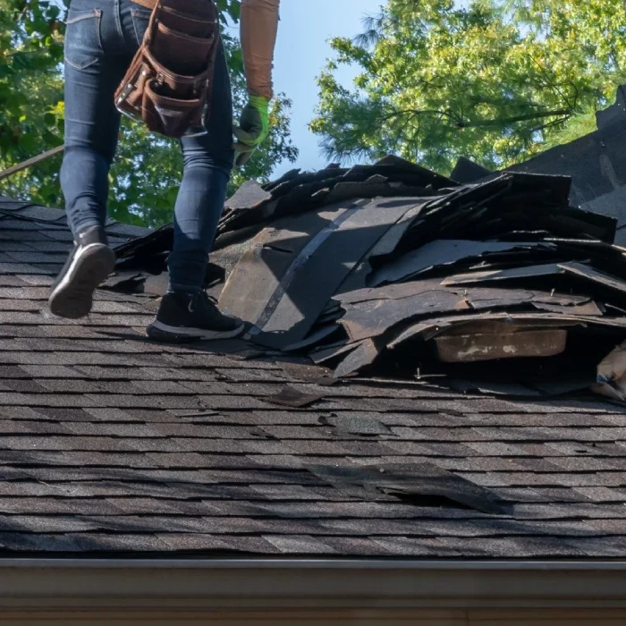 Common Types of Roof Damage Caused by Trees