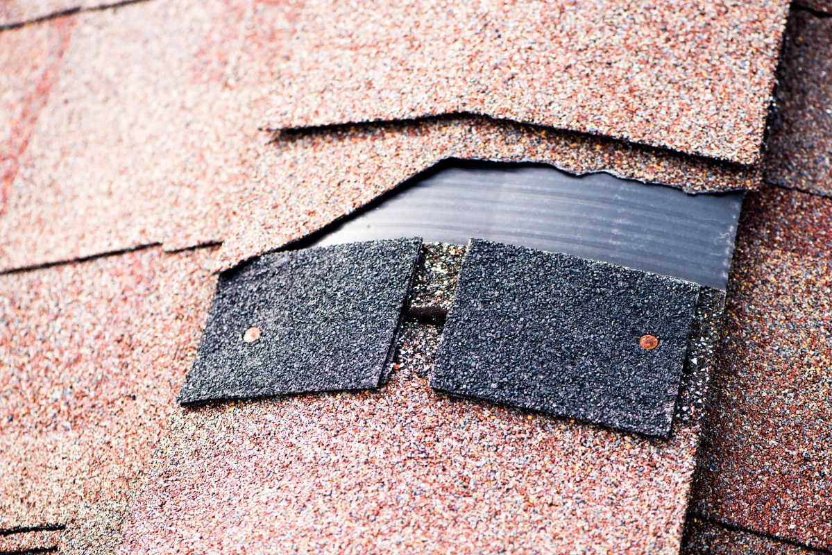 Shingle Roofing Maintenance