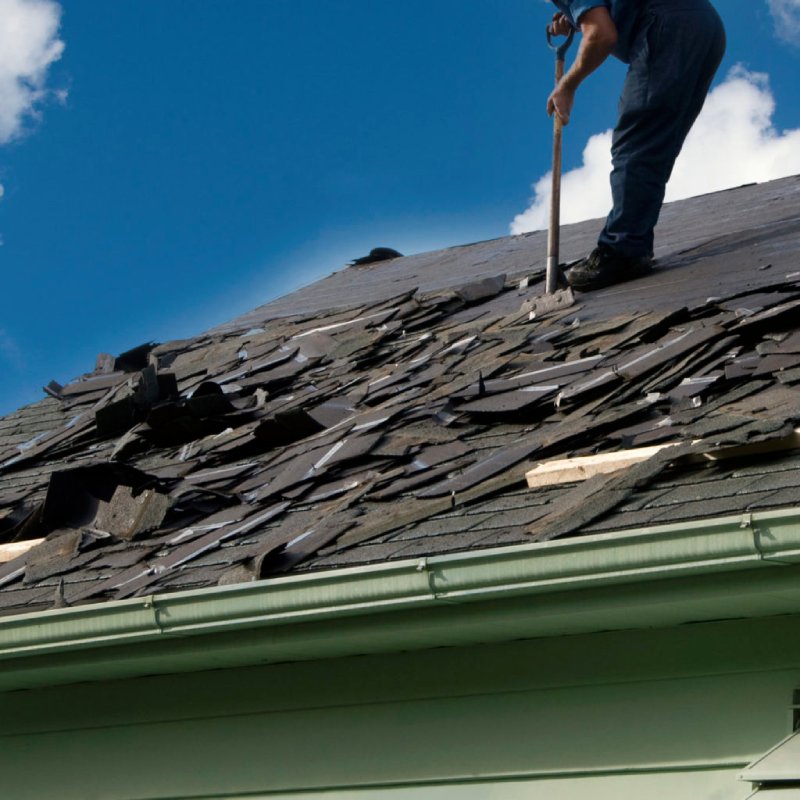 Why Choose RenoSimplicity Roofing & Restoration for Your Designer Shingle Needs?